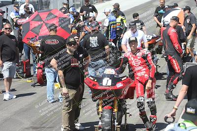 media/Apr-26-2025-BRL Bagger Racing League (Sat) [[9e270f465f]]/9-Bagger GP and Pro Stock Race/